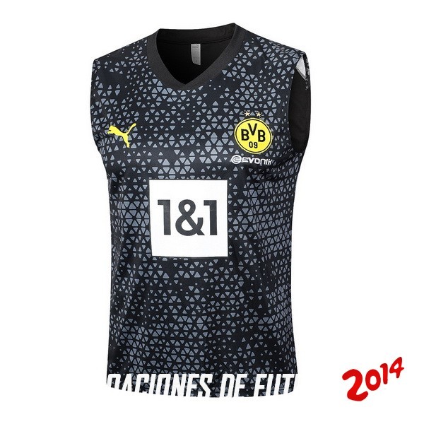 Entrenamiento Sin Mangas Borussia Dortmund 2023/2024 Negro Gris