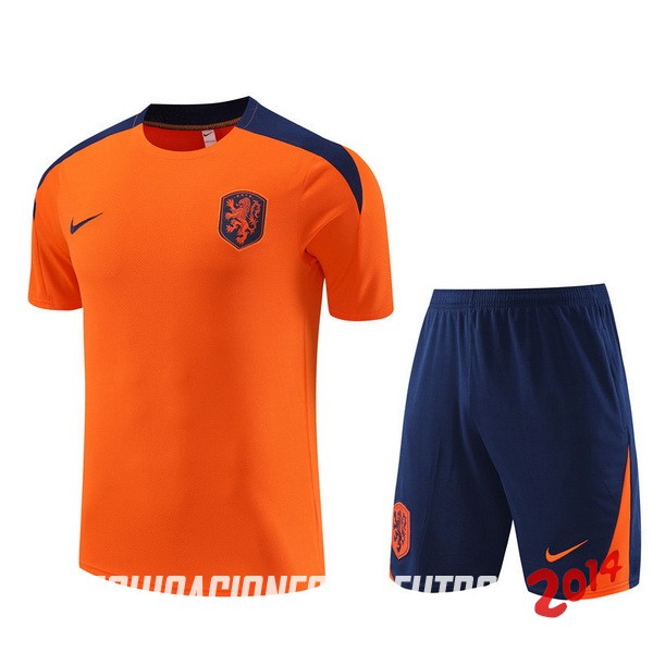 Entrenamiento Conjunto Completo Países Bajos 2024 Naranja Azul