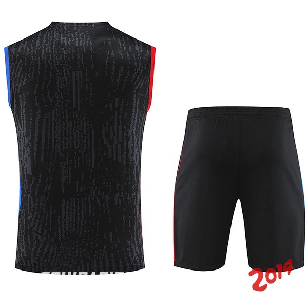 Entrenamiento Sin Mangas Conjunto Completo Paris Saint Germain 2023/2024 Gris Rojo Azul