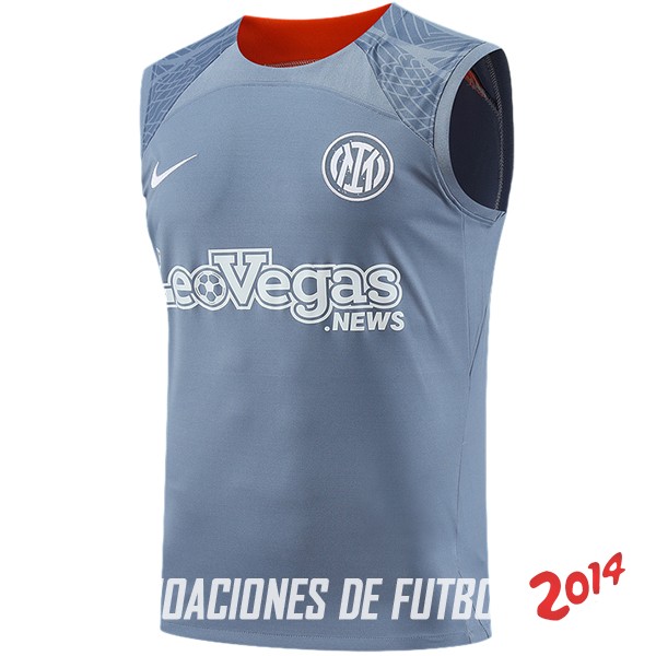 Entrenamiento Sin Mangas Inter Milán 2023/2024 Gris