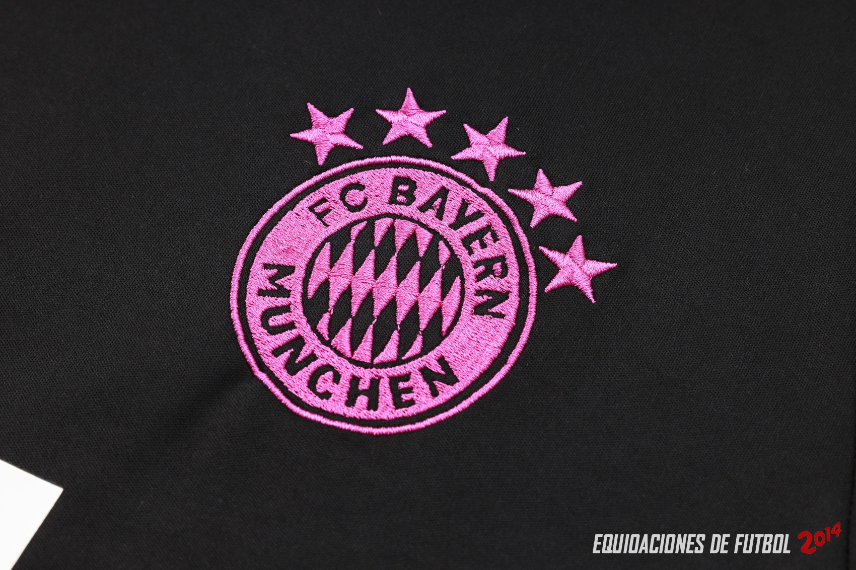 Entrenamiento Sin Mangas Bayern Munich 2023/2024 Negro I Purpura Verde