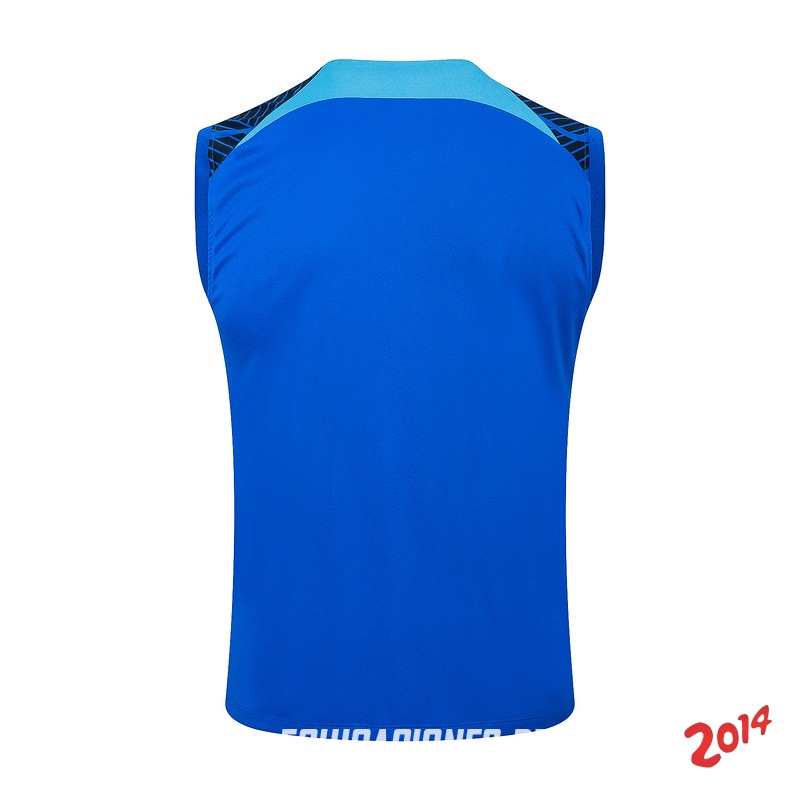 Entrenamiento Sin Mangas Inter Milán 2024/2025 Azul