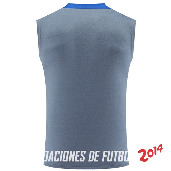 Entrenamiento Sin Mangas Inter Milán 2024/2025 Gris Azul