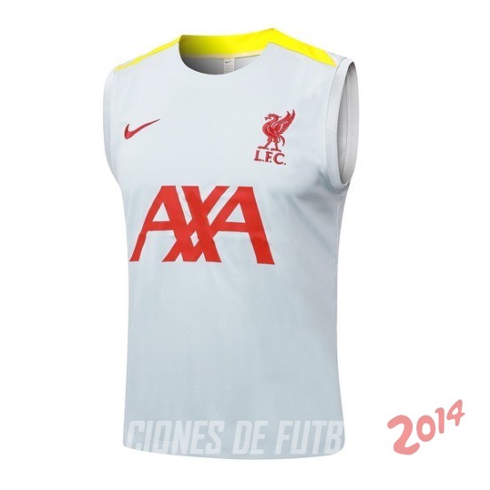 Entrenamiento Sin Mangas Liverpool 2024/2025 Gris Amarillo