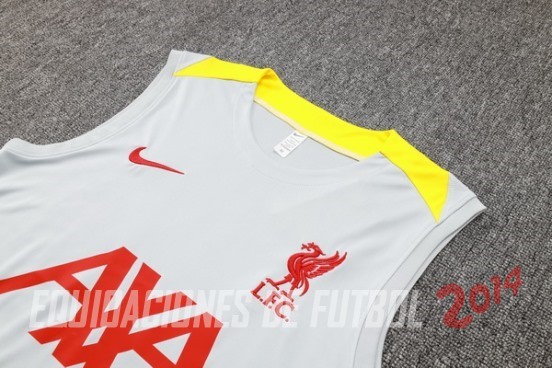 Entrenamiento Sin Mangas Liverpool 2024/2025 Gris Amarillo