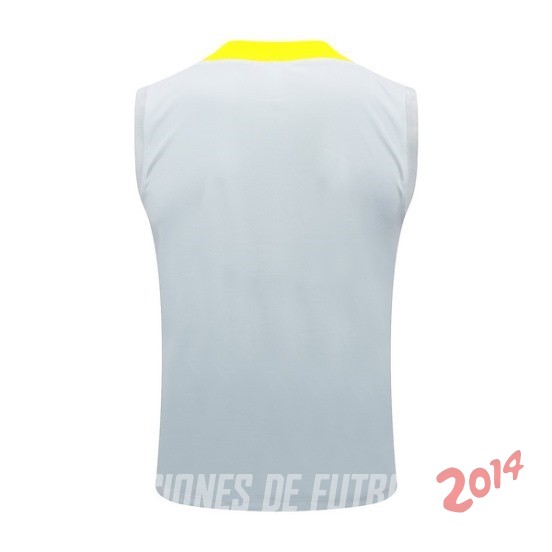 Entrenamiento Sin Mangas Liverpool 2024/2025 Gris Amarillo