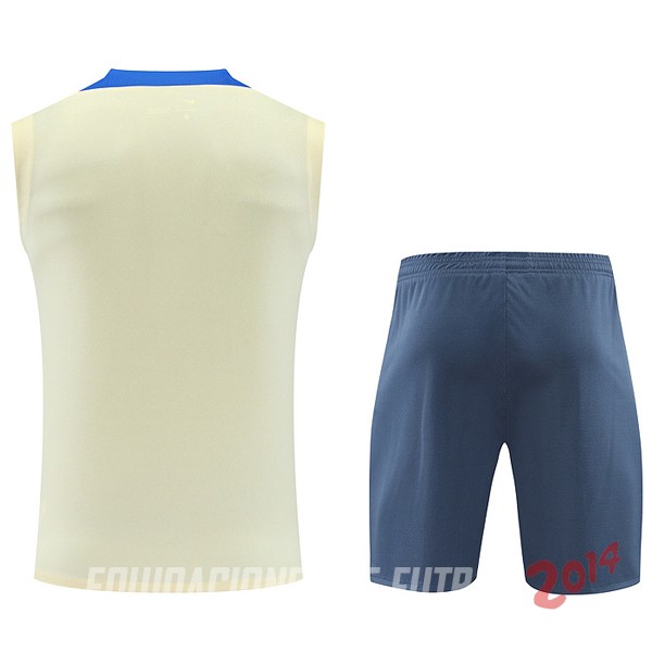 Entrenamiento Sin Mangas Conjunto Completo Inter Milan 2024/2025 Amarillo Gris