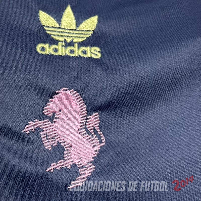 Tailandia Camiseta Del Juventus Especial 2024/2025 Azul